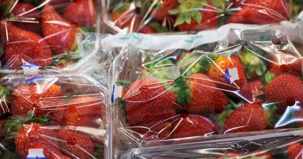 More than throwing away food, single-use plastic is the more insidious threat