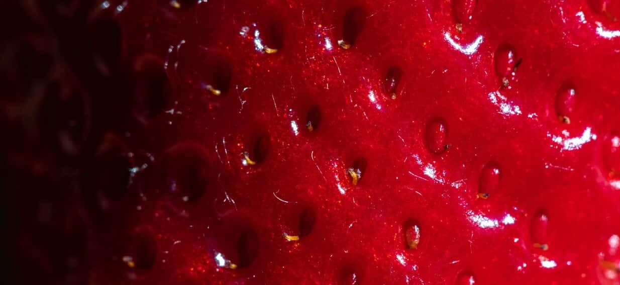 Does the sight of small holes make you feel ill? There's a reason for that